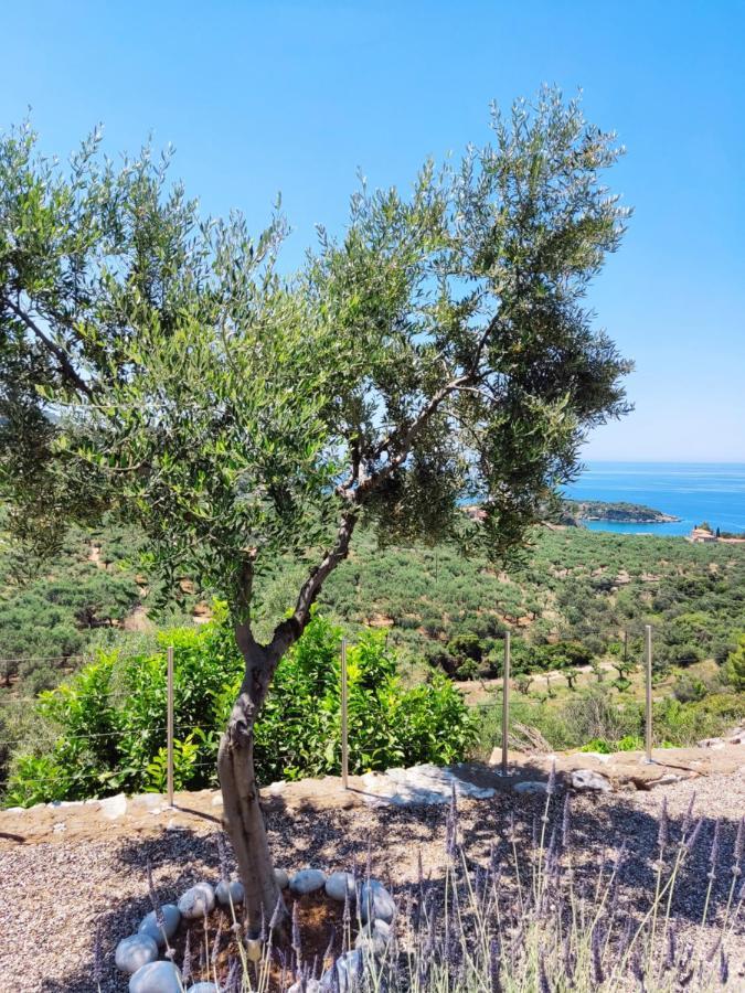 Athina'S Stone House In Kardamyli Villa Exterior photo
