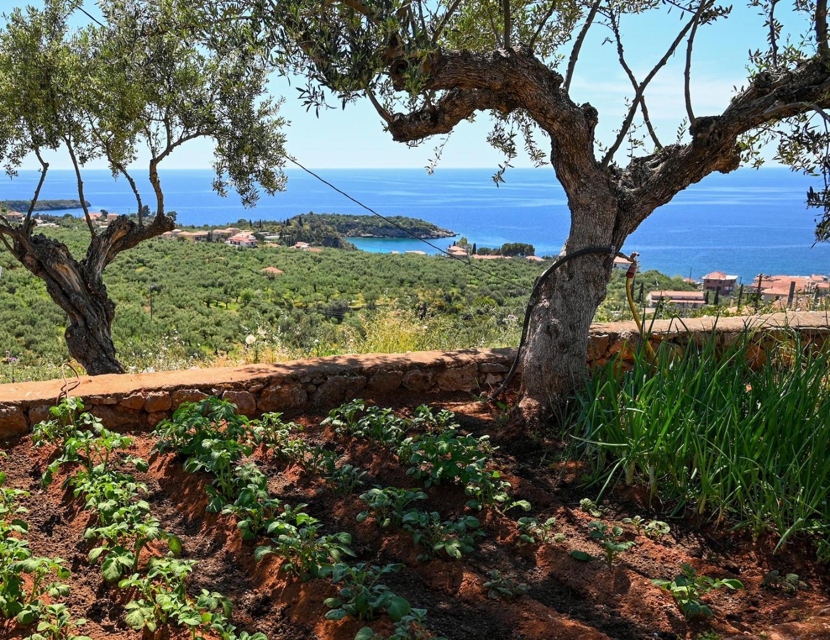 Athina'S Stone House In Kardamyli Villa Exterior photo